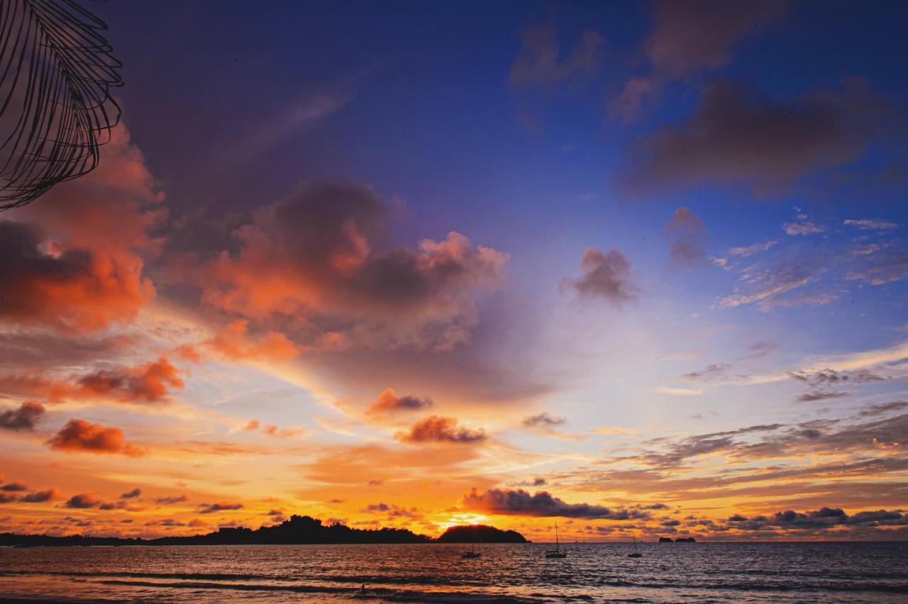 Bahia Del Sol Beach Front Boutique Hotel โปเตรโร ภายนอก รูปภาพ